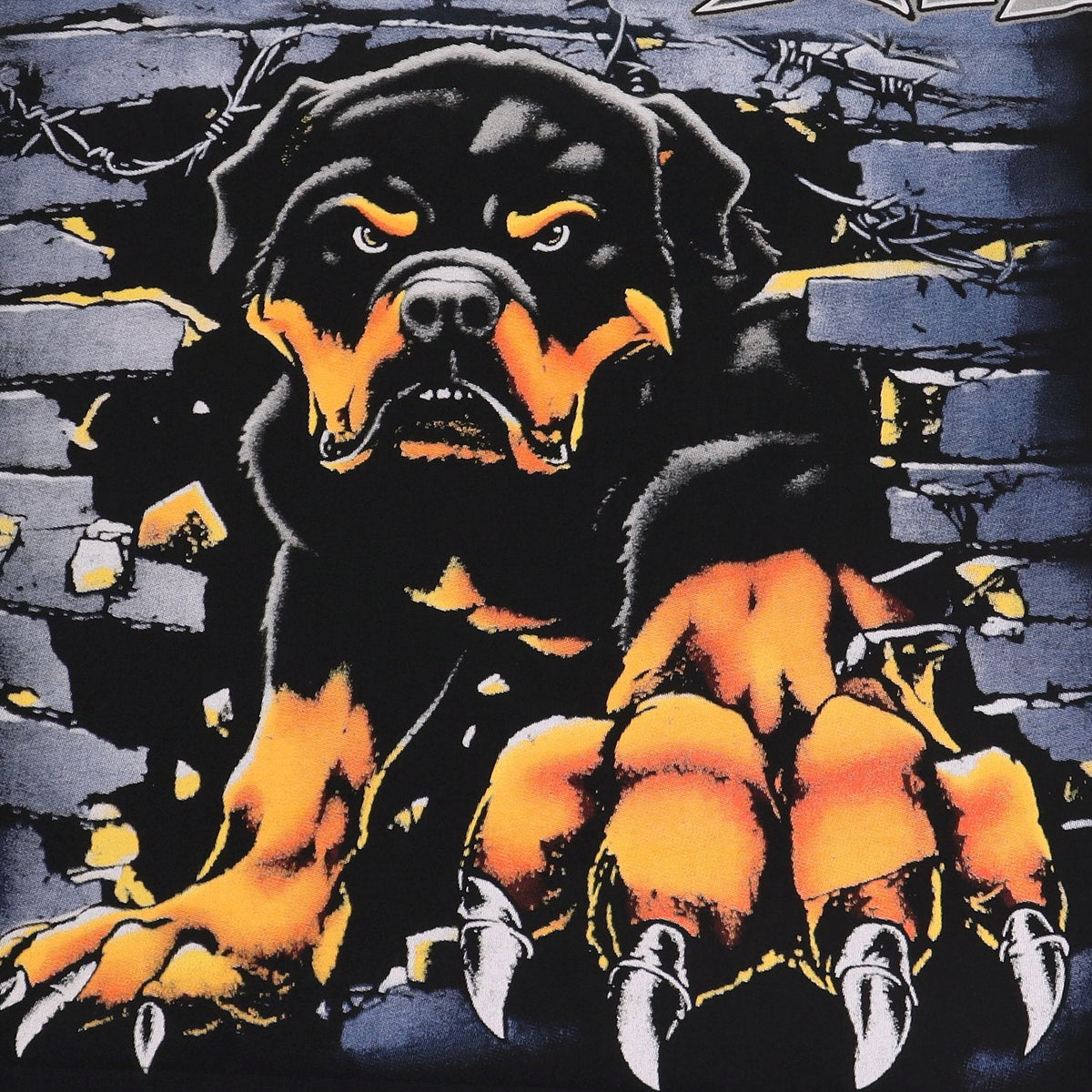 Valley Dreams Rottweiler Graphic Washed Black T-Shirt